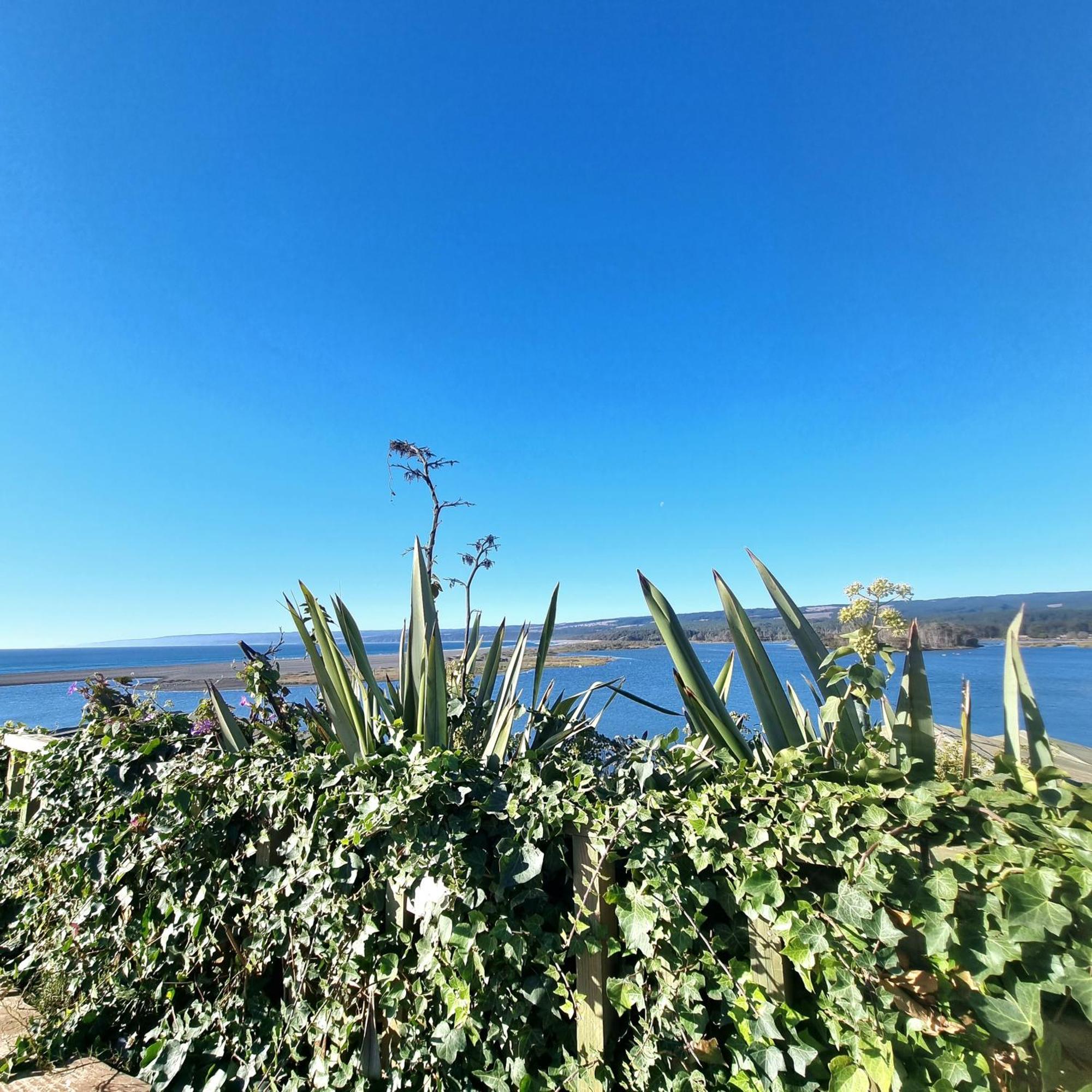 Max & Mar Pichilemu Пичилему Экстерьер фото
